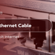 Best Ethernet Cable for Gigabit Internet