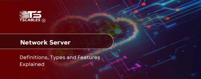 Network Server: Definitions, Types, and Features Explained