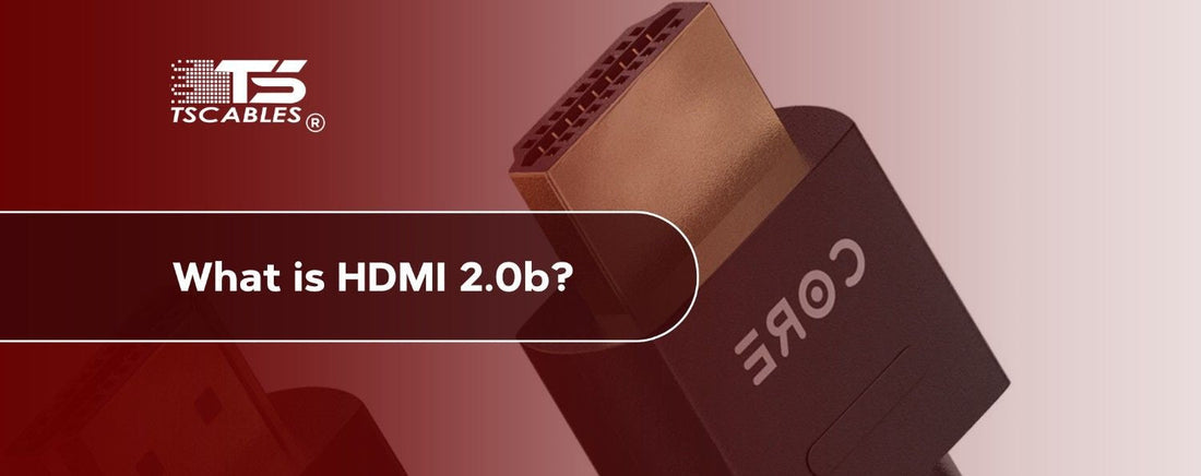 What is HDMI 2.0b?