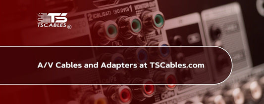 A/V Cables and Adapters 