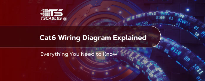 Cat6 Wiring Diagram Explained 