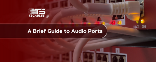 What is an Audio Port?
