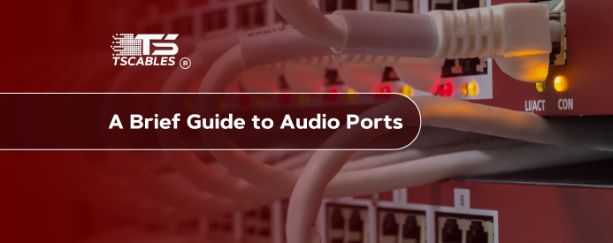 What is an Audio Port?