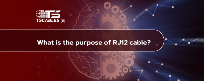 What is an RJ12 6 Pins Connector?