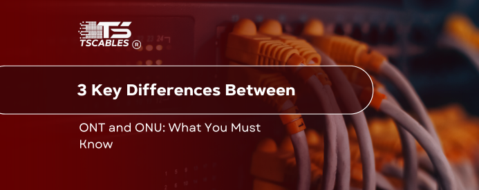 Differences between ONT and ONU
