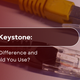 RJ45 vs Keystone: What's the Difference and Which Should You Use?