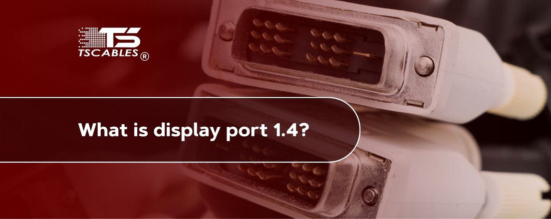 What is DisplayPort 1.4?