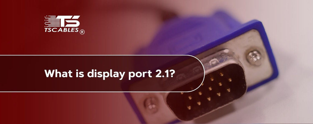 What is DisplayPort 2.1?