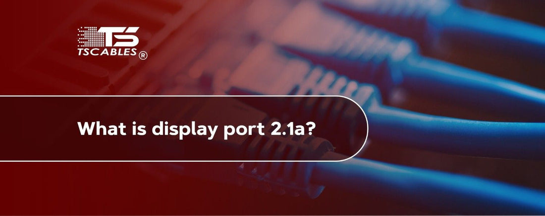 What is DisplayPort 2.1a?