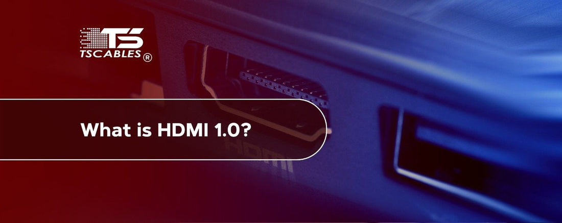 What is HDMI 1.0?