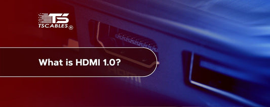 What is HDMI 1.0?
