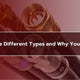 Coaxial Cables: Different Types