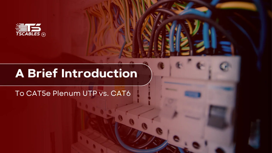 CAT5e Plenum UTP vs. CAT6