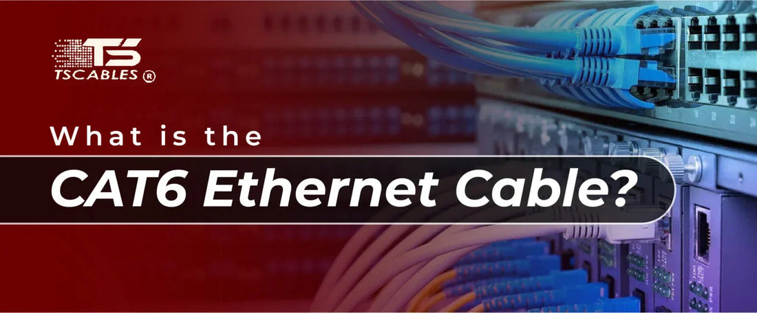 What Is a Cat6 Ethernet Cable?