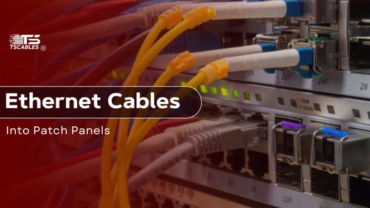 Ethernet Cables into Patch Panels