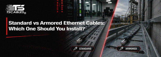 Standard vs Armored Ethernet Cables