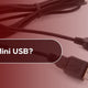 What is Mini USB?