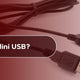 What is Mini USB?