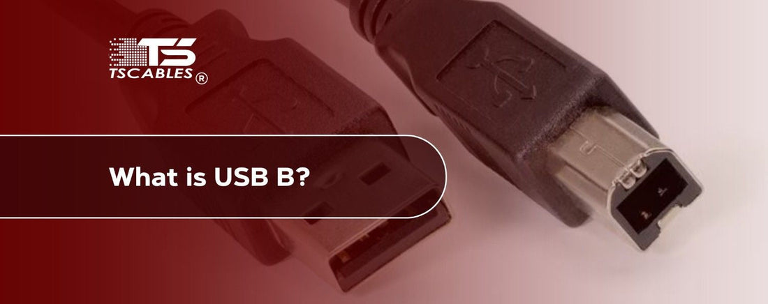 What is USB-B?