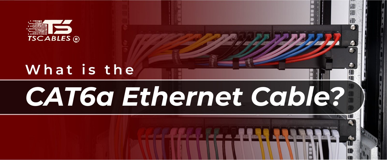 Cat6a Ethernet Cable