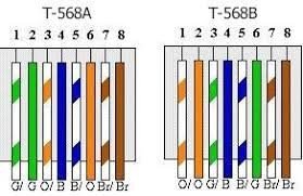 T568A vs. T568B